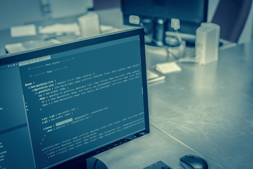 wordpress developer